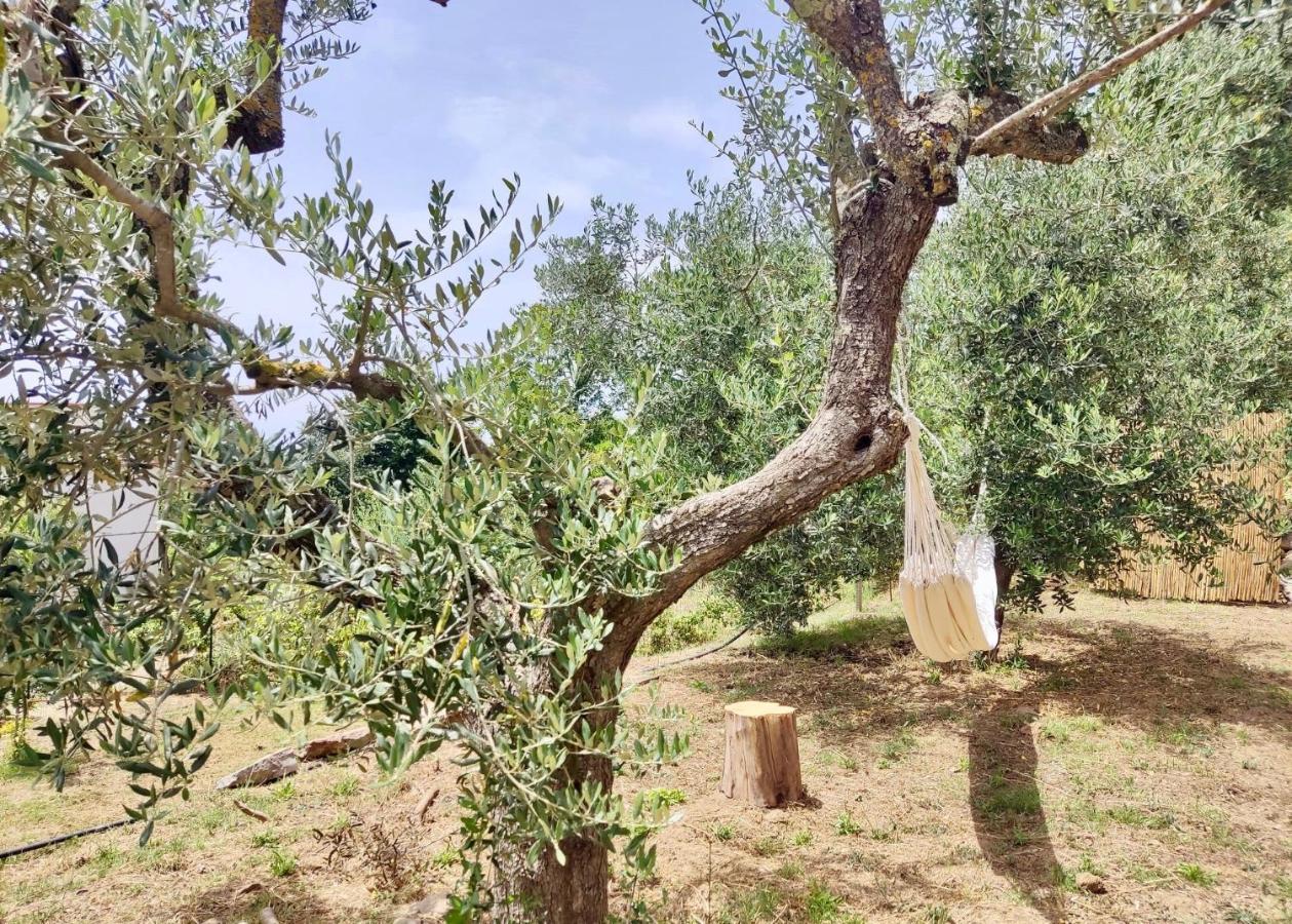 Nostos Casale Bed and Breakfast Sant'Agata sui due Golfi Eksteriør billede