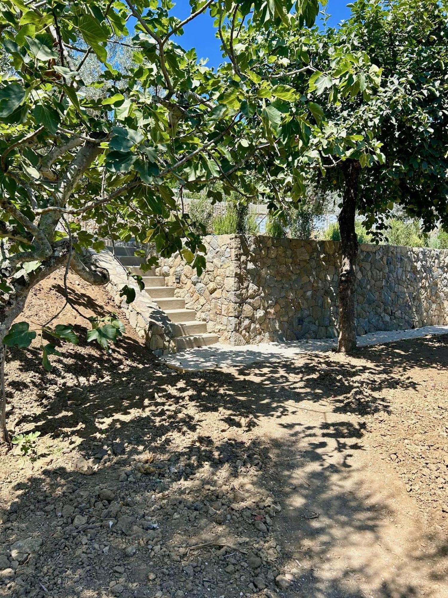 Nostos Casale Bed and Breakfast Sant'Agata sui due Golfi Eksteriør billede