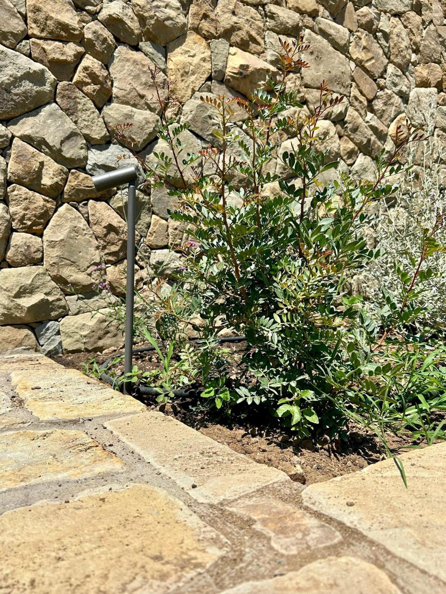 Nostos Casale Bed and Breakfast Sant'Agata sui due Golfi Eksteriør billede